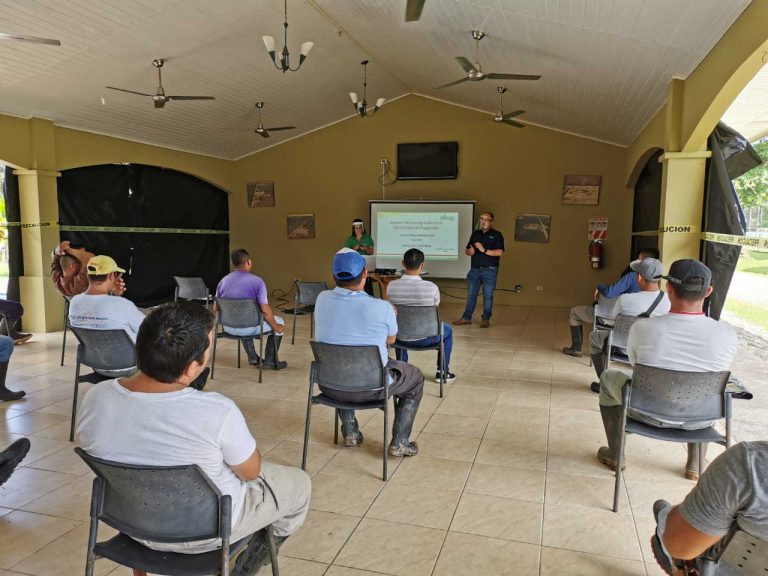 Aula Movil (2)