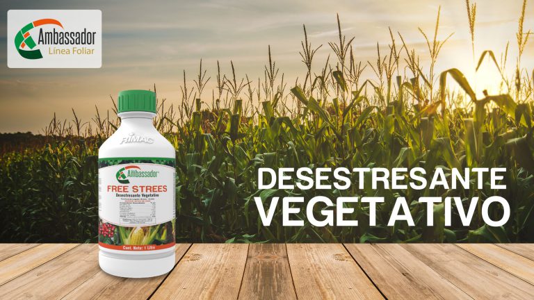 Desestrezante Vegetativo 2