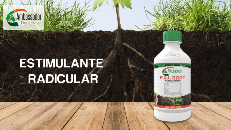 Estimulante Radicular 2