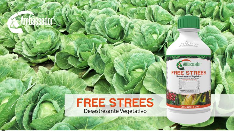 Free Strees 2