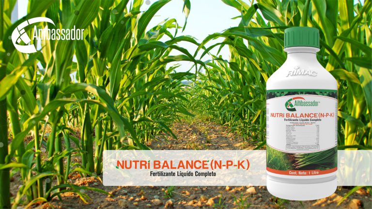 Nutri Balance (N-P-K)2