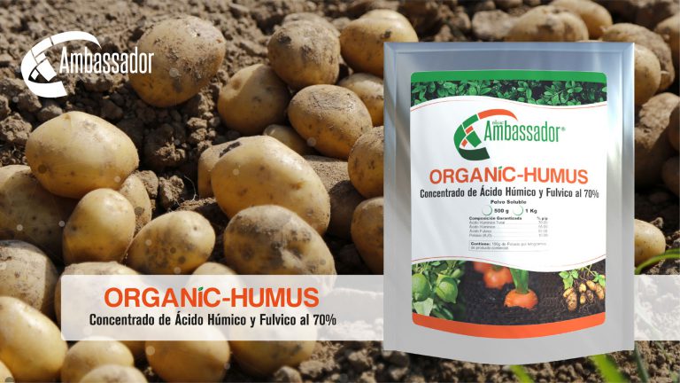 Organic Humus 2