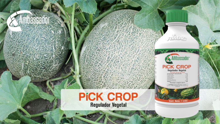Pick Crop 2